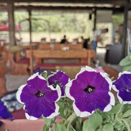 туристически комплекс магура Rabisha