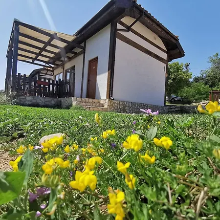 Hotell магура Rabisha