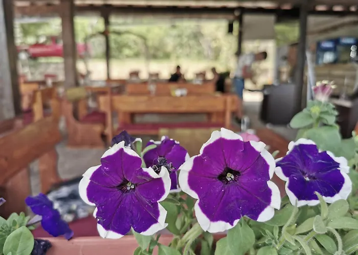 туристически комплекс магура Rabisha