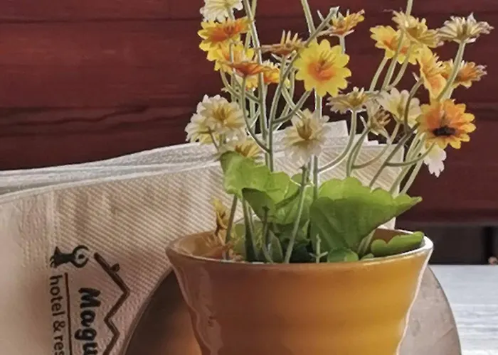 туристически комплекс магура 2* Rabisha