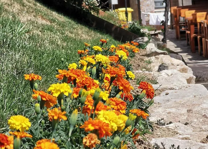 호텔 туристически комплекс магура Rabisha